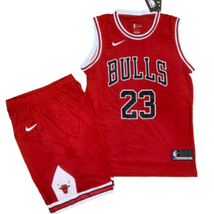 NBA Bulls Team Jersey In Nike Edition