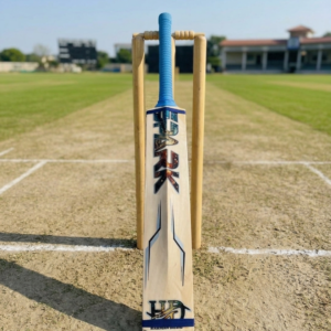Spark Champion  Series Bat