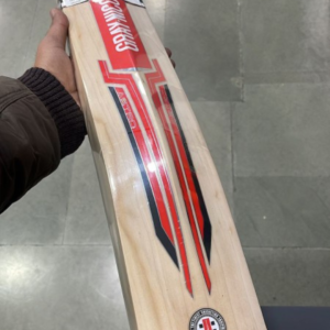 Gray-Nicolls Astro Edition